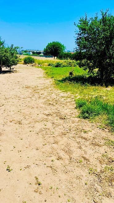 nardaranda torpaq: 12 sot, Tikinti, Kupça (Çıxarış) — 1