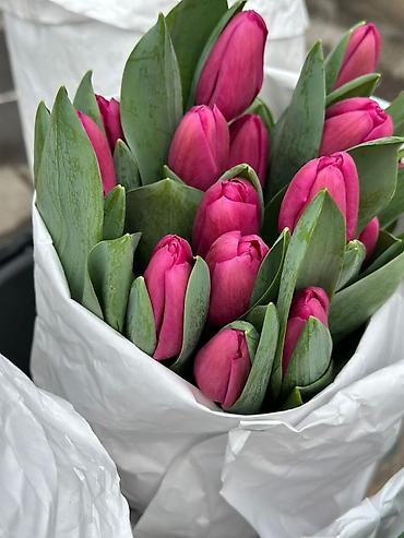 Букеты из живых цветов: Тюльпаны срезанные — букетные сборки. - Варианты окраски: насыщенный — 10