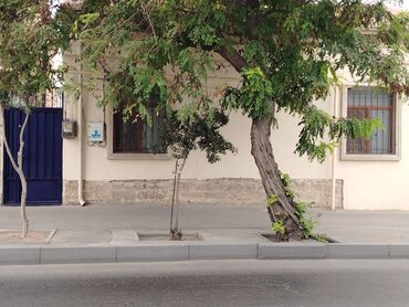 Uzunmüddətli kirayə mənzillər: Mərdakanda əsas yolun ustunda 4 otaqli ev.satilir .dəniz yoluna — 7