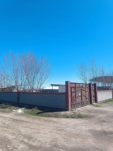 Продажа сельхоз предприятий: 1000 соток, Действующий, Частично с оборудованием, Электричество, Скважина, Холодная вода — 5