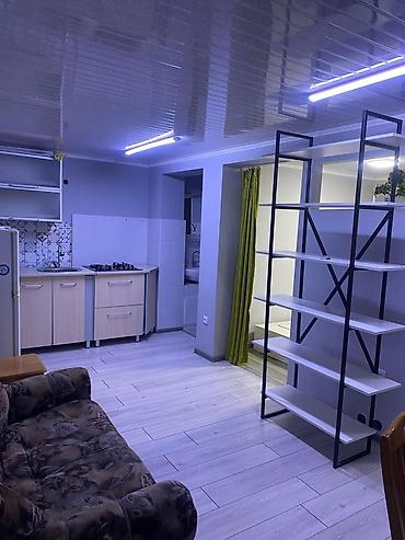 Долгосрочная аренда домов: 38 м², 1 комната, Евроремонт — 1