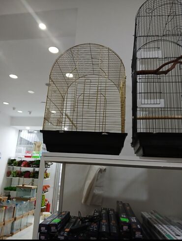 Qəfəslər: Her qiymete her olcude yeni qefeslermiz var satisda bayram edirimleri -da lalafo.az — 8 Qəfəslər: Her qiymete her olcude yeni qefeslermiz var satisda bayram edirimleri — 8