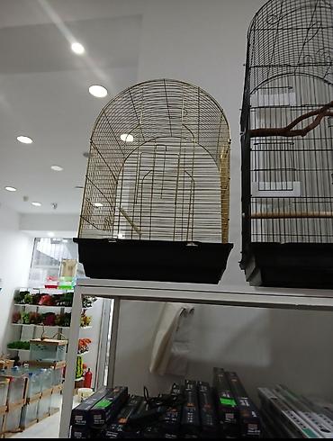 akvarium balıq novləri: Qefesler Bayram edirimleri her zovqe her cesde her novde her regde — 8