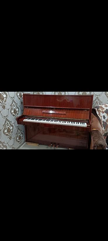 korg pa x5: Piano, Belarus, Akustik, İşlənmiş, Ünvandan götürmə — 4