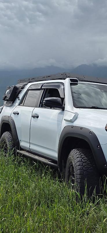колор: Toyota 4Runner: 2022 г., 4 л, Автомат, Бензин, Внедорожник — 4