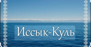 1 комнатная квартира бишкек продажа: 2 бөлмө, Менчик ээси, Чогуу жашоосу жок, Толугу менен эмереги бар