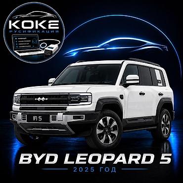e 303: Русификация автомобиля BYD Leopard 5 (2025 год) Профессиональная — 1