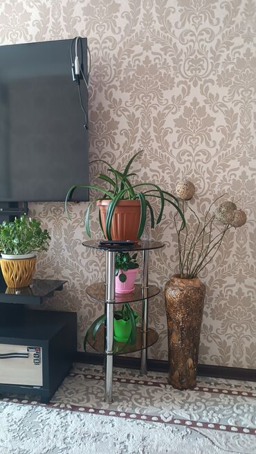 Полки для обуви: Элегантная угловая полка из светлого дерева с тремя вместительными — 2