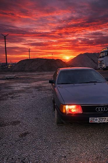 Audi: Audi 100: 1990 г., 2.3 л, Механика, Бензин, Седан — 3