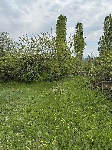 Daşınmaz əmlak: 31 sot, Tikinti, Mülkiyyətçi, Kupça (Çıxarış) — 6