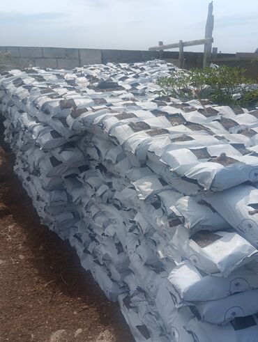 Toxumlar: Qazonlasdrma catrlma qurasdrma dekarativ bitgiler guler das torpaq — 11