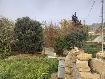 çıxarış nədir: 5 sot, Tikinti, Mülkiyyətçi
