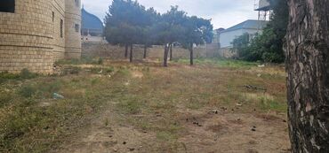 Torpaq sahələrinin satışı: 24 sot, Mülkiyyətçi, Kupça (Çıxarış) -da lalafo.az — 9 Torpaq sahələrinin satışı: 24 sot, Mülkiyyətçi, Kupça (Çıxarış) — 9