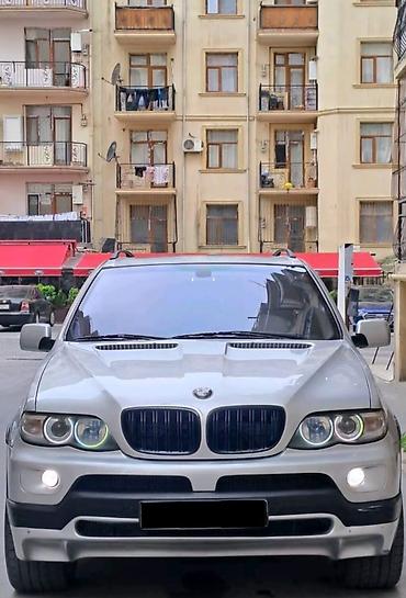 BMW: BMW X5: 3 л | 2006 г. Внедорожник — 7