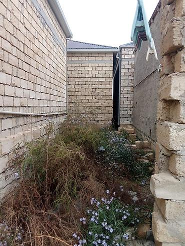 Həyət evləri və villaların satışı: Satılır: həyət evi 1 otaq - Plan: 1 mərtəbə, eyvanlı giriş. Ön — 8