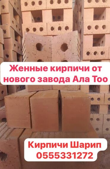 хом гиш: Пустотелый, дырчатый, Жженый кирпич, Одинарный, 250×120×65