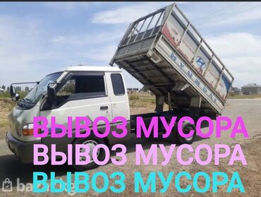 декоративные кролики: Вывоз мусора Вывоз мусора Вывоз мусора Вывоз мусора Вывоз мусора