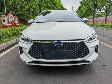 Roewe: BYD : 2020 г., 0.1 л, Автомат, Электромобиль, Хэтчбэк