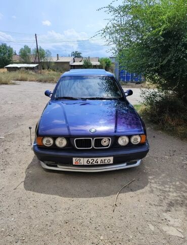 BMW: BMW 525: 1993 г., 2.5 л, Механика, Бензин, Седан