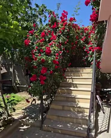 Həyət evləri və villaların satışı: 4 otaqlı, 110 kv. m, Yeni təmirli — 17