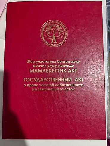 Сейфы: Государственный акт о праве частной собственности на земельный участок — 1