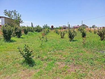 bine torpaq satilir: 8 sot, Kənd təsərrüfatı, Mülkiyyətçi, Kupça (Çıxarış) — 9