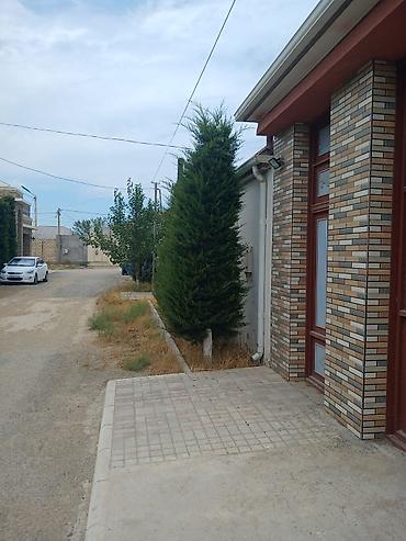 Uzunmüddətli kirayə evlər: 190 kv. m, 4 otaqlı, İşıq — 19