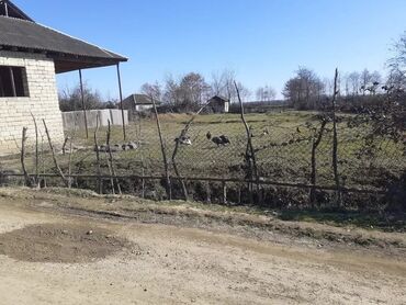 lenkeran 1 nomreli alqi satqi: 3 otaqlı, 100 kv. m, Kredit yoxdur, Təmirsiz