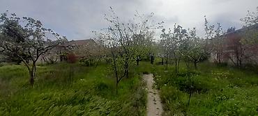 Torpaq sahələrinin satışı: Tikinti, Kupça (Çıxarış) — 6
