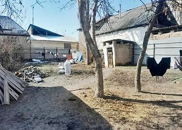 восток пять: 6 соток, Для бизнеса, Красная книга — 2