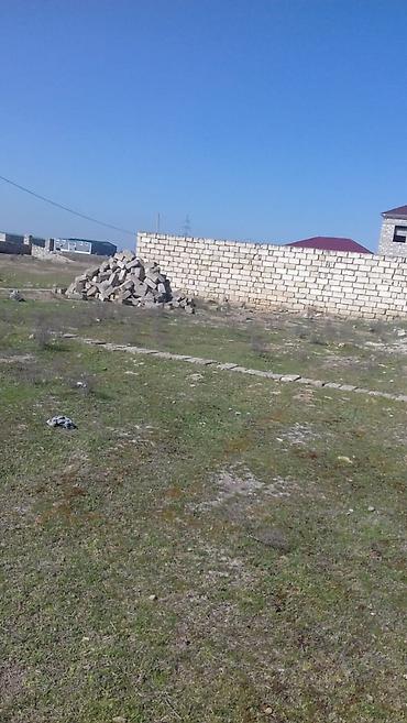 sederek zırpaket: 3 sot, Kənd təsərrüfatı, Mülkiyyətçi, Kupça (Çıxarış) — 2