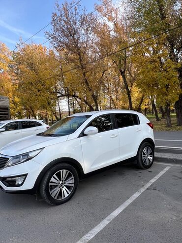 кузов портер 1: Kia Sportage: 2014 г., 2 л, Автомат, Дизель, Кроссовер