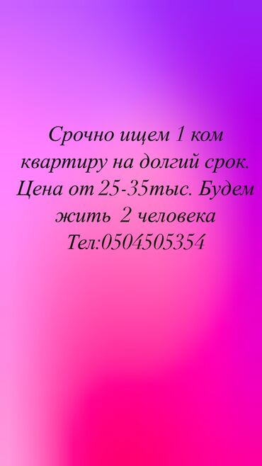 2 комнатный квартира: 1 комната, 40 м², С мебелью