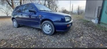 Volkswagen: Volkswagen Golf: 1992 г., 1.8 л, Механика, Бензин, Хетчбек