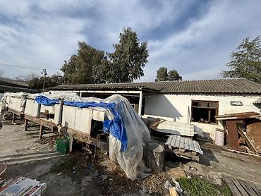 Digər biznes avadanlığı: Sənaye tipli uzun konveyer-qurutma xətti və ötürücü aqreqatlar - — 5