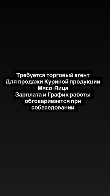 красный свитер: Вакансия: торговый агент по продаже куриной продукции (мясо, яйца) — 1