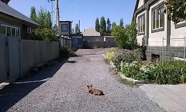 полки в аренду: Сдаю или продаю ангар в Беловодске. (Можно снять часть склада) — 5