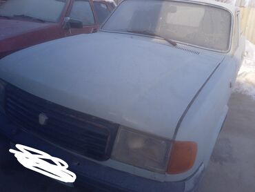 ГАЗ: ГАЗ 31029 Volga: 1996 г., 2.4 л, Механика, Бензин, Пикап