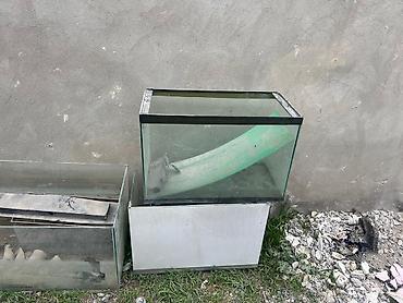 akvarium balaca: Dördbucaq akvarium, Boş, 100 l, Ödənişli çatdırılma, Ünvandan götürmə — 3