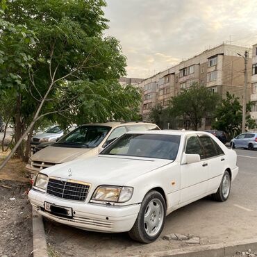 тюнинг салон: Mercedes-Benz S-Class: 1992 г., 3.2 л, Механика, Дизель, Седан