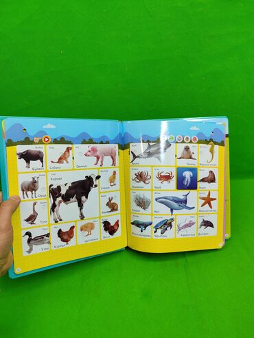 Детские книги: Книга музыкальная для развития ребенка📚 Комплектация товара — 10