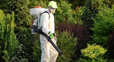 работа для няни: Sürücü dezinfektor