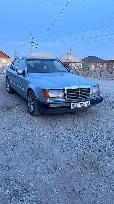 Mercedes-Benz: Mercedes-Benz W124: 1992 г., 2.9 л, Ручные, Дизель, Седан — 1