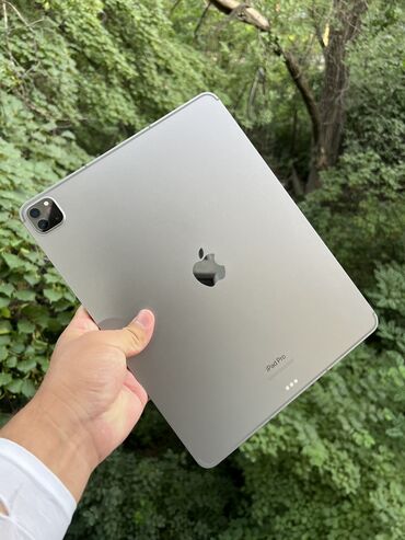 универсальные мобильные батареи для планшетов hoco: Планшет, Apple, память 256 ГБ, 12" - 13", 4G (LTE), Новый, цвет - Серый