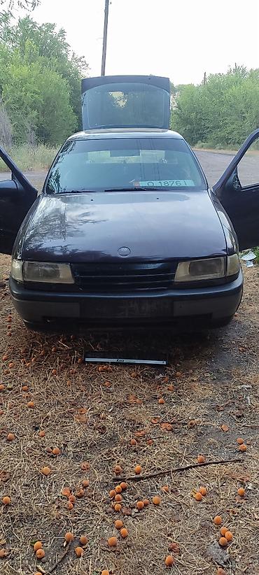 e klass: Opel Vectra: 1992 г., 1.8 л, Механика, Бензин, Хэтчбэк — 1