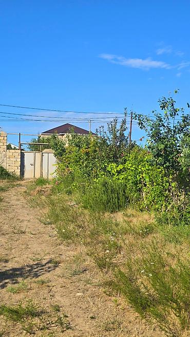 nardaran ev: 8 otaq, 324 kv. m, Təmirsiz — 5