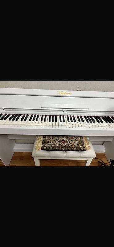 sesucaldan: Euphonia rəngli ağ rəqəmsal piano - Tam ölçülü 88 klaviş – klassik — 1