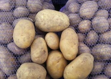 мешок для картошку: Картошка Ривьера, Дүңүнөн