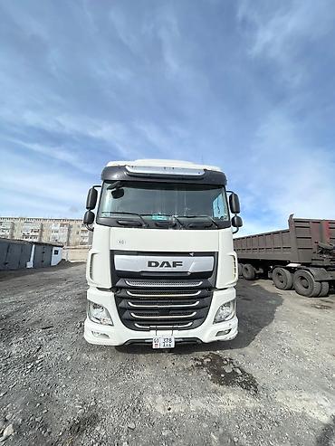 Тягачи: Тягач, DAF, 2014 г., Шторный — 7