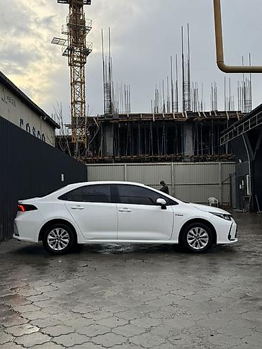 byd e6: Toyota Corolla: 2019 г., 1.8 л, Вариатор, Гибрид, Седан — 5